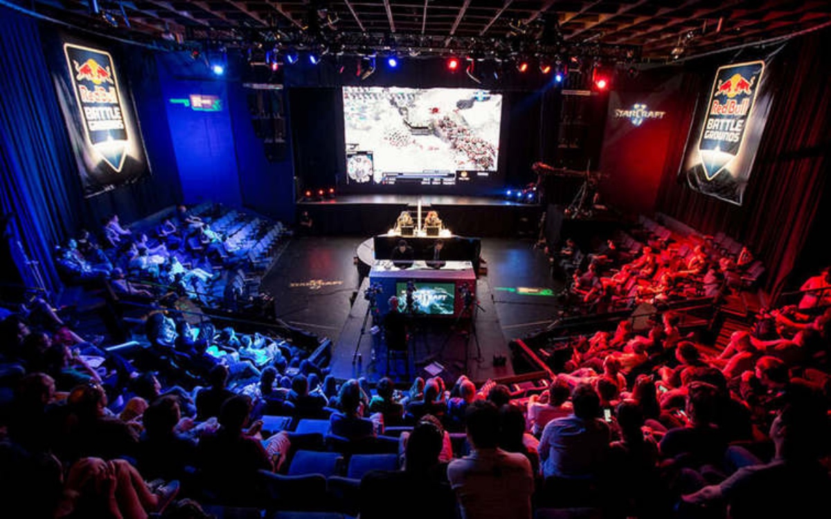 这种果敢作 这种果敢作